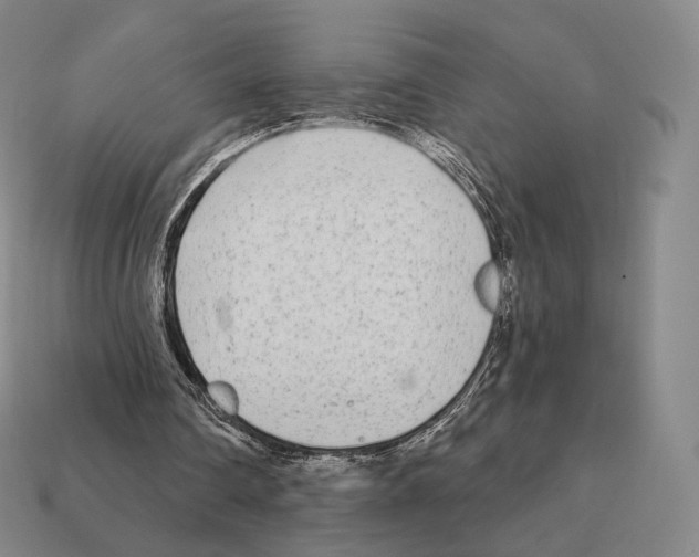 X0000111930290200909071244