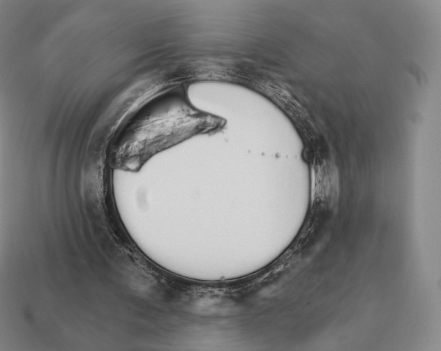 X0000111930291200909071244