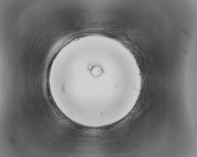 X0000111930293200909071244