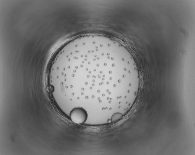 X0000111930294200909071244