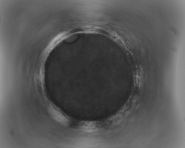 X0000111930295200909071244