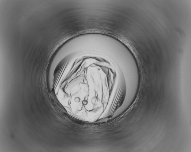 X0000111930297200909071244