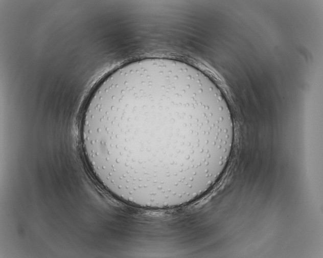 X0000111930298200909071244