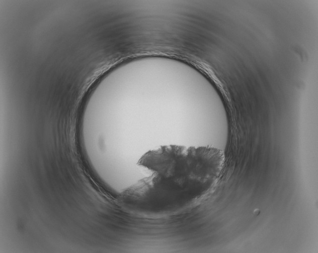 X0000111930299200909071244