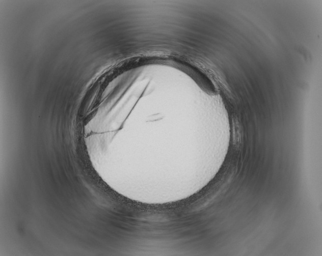 X0000111930300200909071244