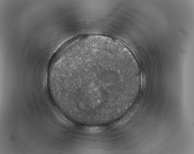 X0000111930301200909071244