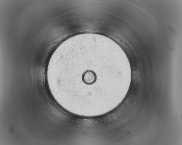 X0000111930302200909071244