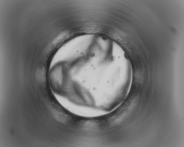 X0000111930303200909071244