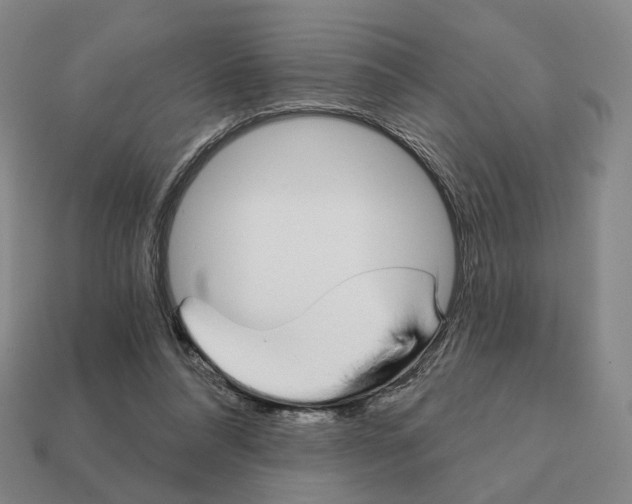 X0000111930304200909071244