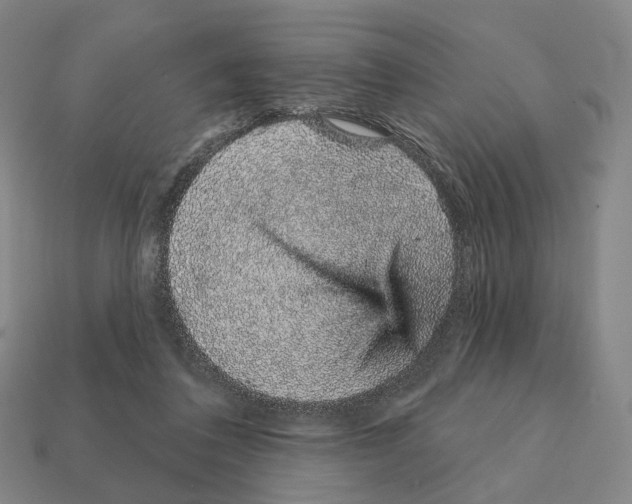 X0000111930308200909071244