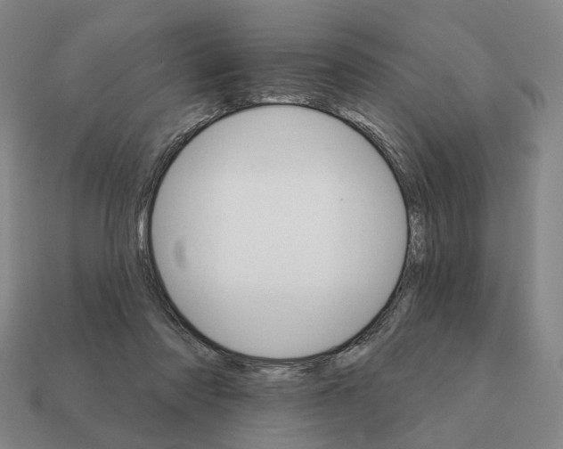 X0000111930310200909071244