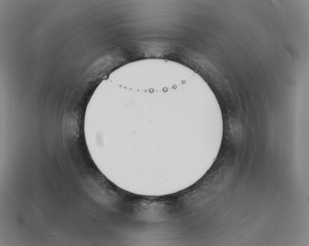 X0000111930311200909071244