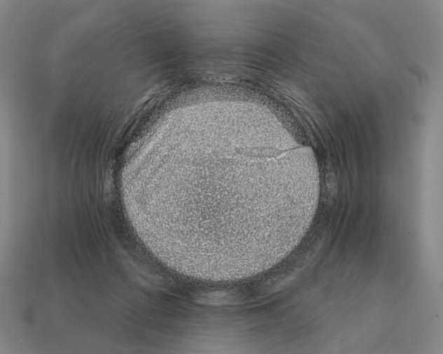 X0000111930312200909071244