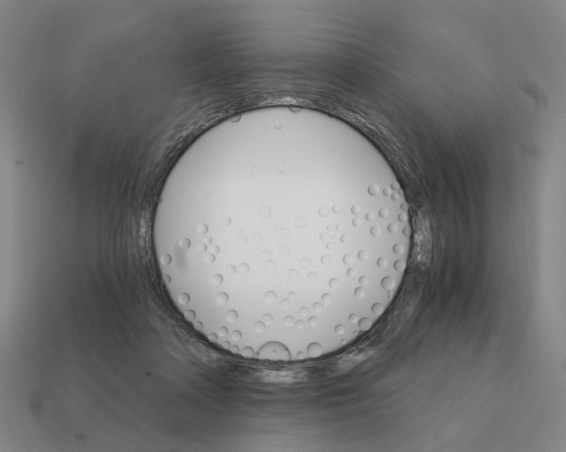 X0000111930314200909071244