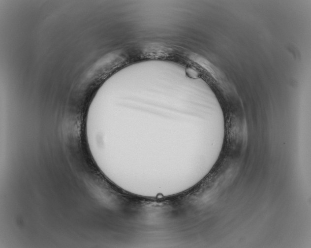 X0000111930315200909071244