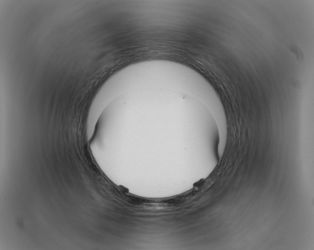 X0000111930316200909071244