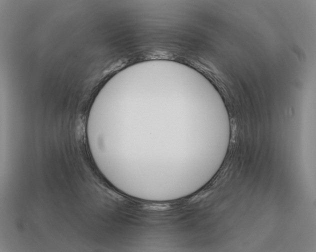 X0000111930318200909071244