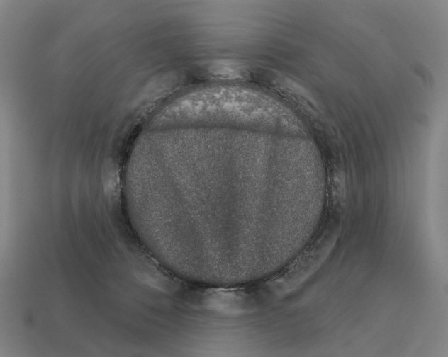 X0000111930320200909071244