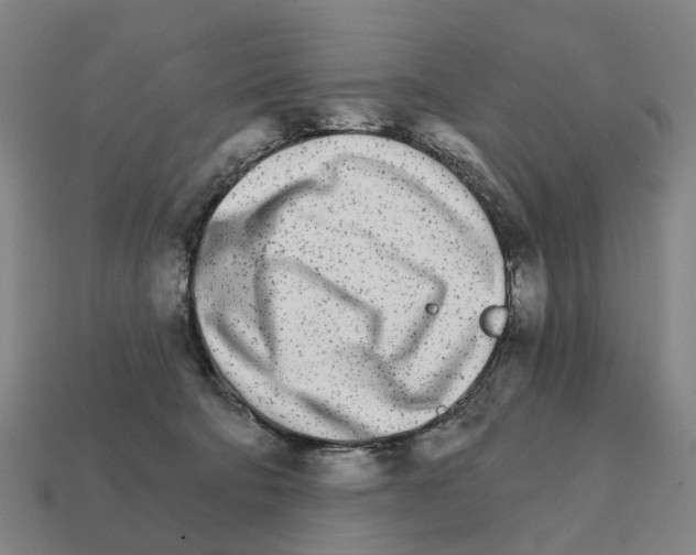 X0000111930322200909071244