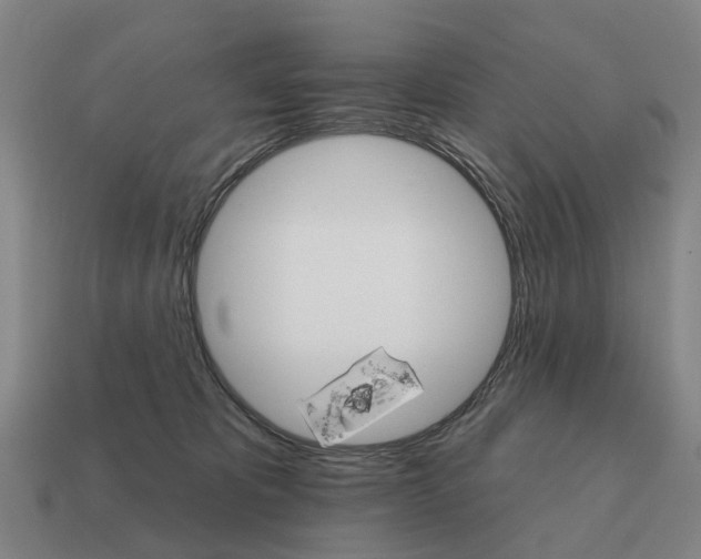 X0000111930325200909071243