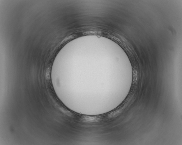 X0000111930326200909071243