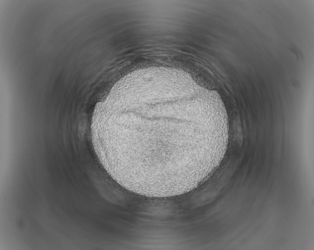 X0000111930328200909071243