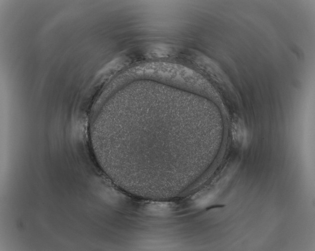 X0000111930332200909071243