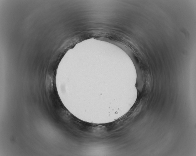 X0000111930333200909071243