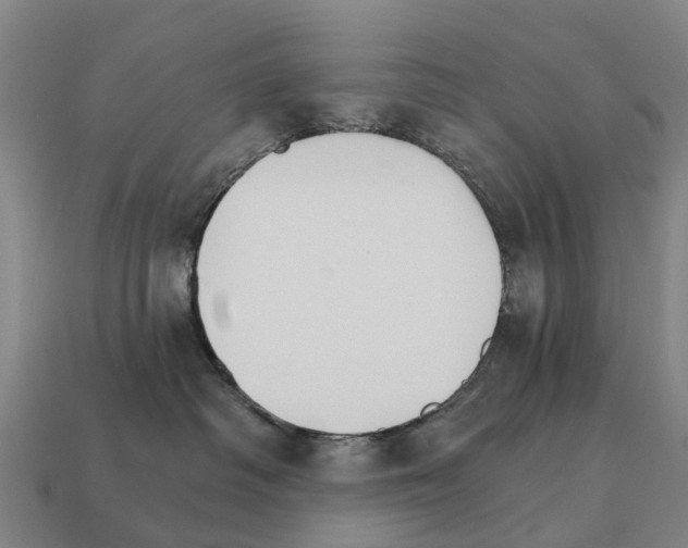 X0000111930334200909071243