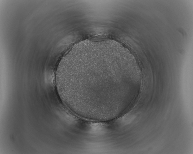 X0000111930336200909071243