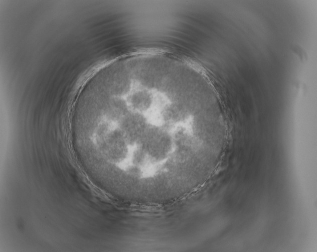 X0000111930337200909071243