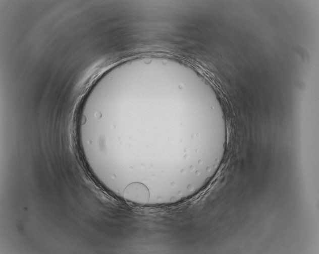 X0000111930339200909071243