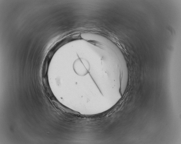 X0000111930340200909071243