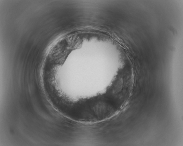 X0000111930341200909071243