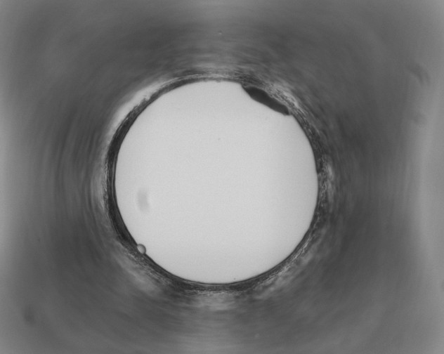 X0000111930342200909071243