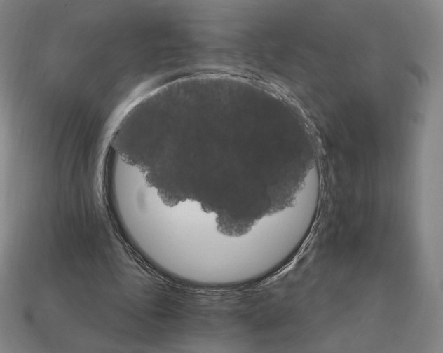 X0000111930343200909071243