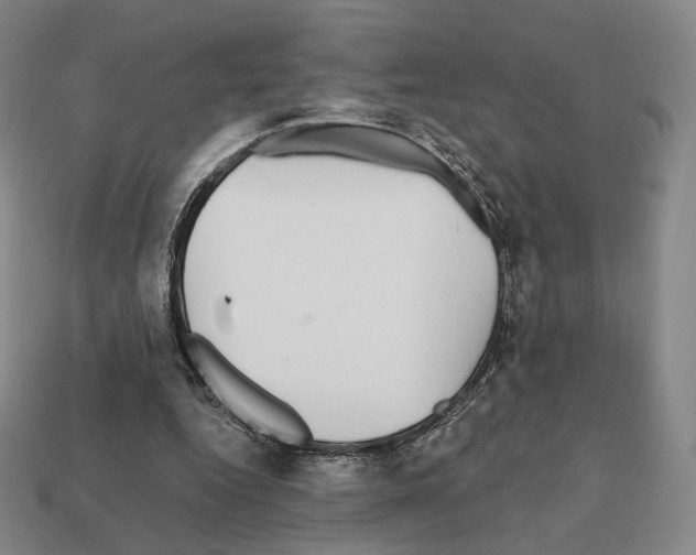 X0000111930344200909071243