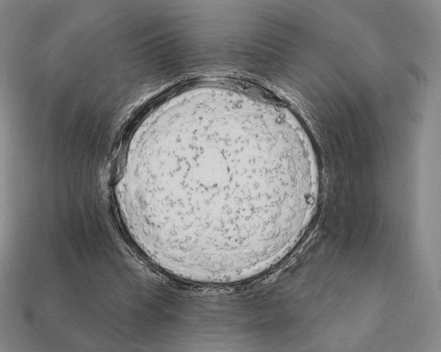 X0000111930345200909071243