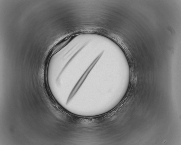 X0000111930346200909071243