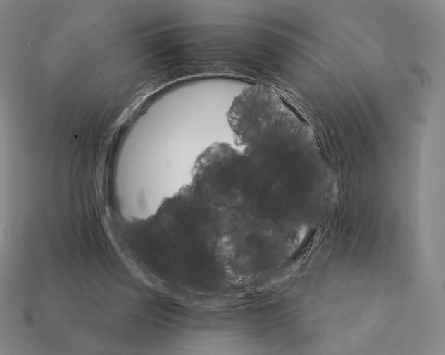 X0000111930347200909071243