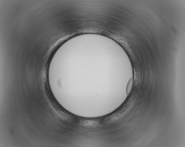 X0000111930348200909071243