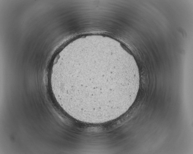 X0000111930350200909071243