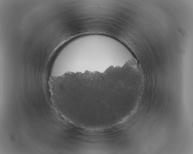 X0000111930351200909071243