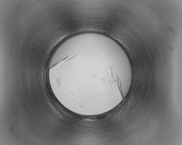 X0000111930352200909071243