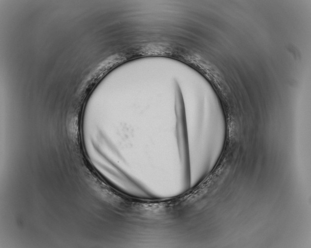 X0000111930353200909071243