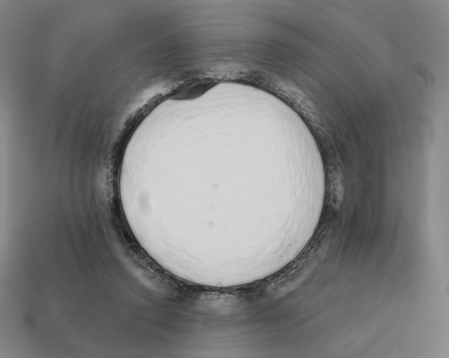 X0000111930354200909071243