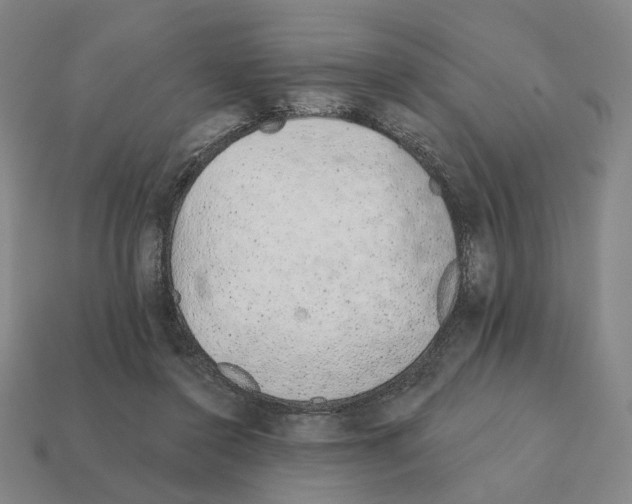 X0000111930356200909071243