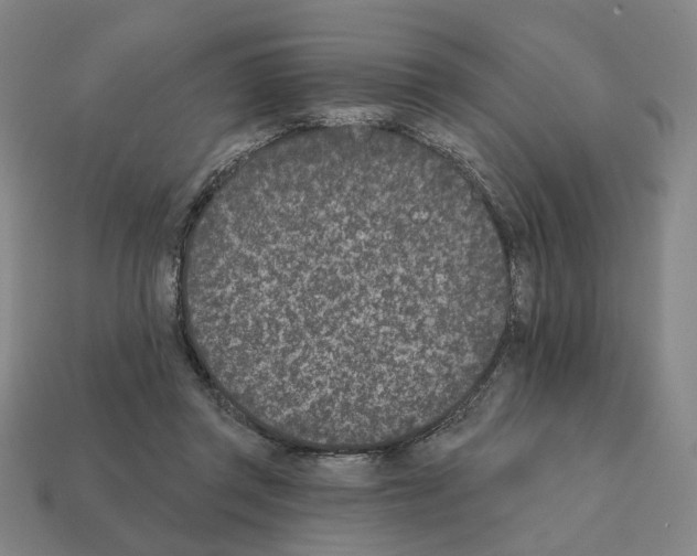 X0000111930357200909071243