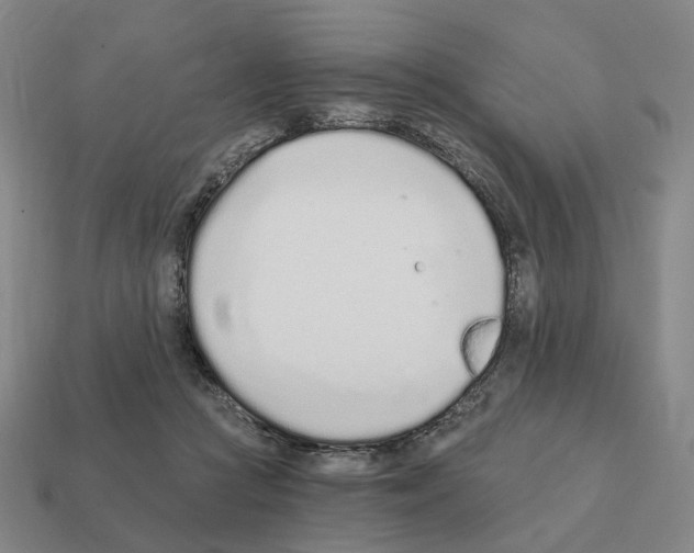 X0000111930361200909071243