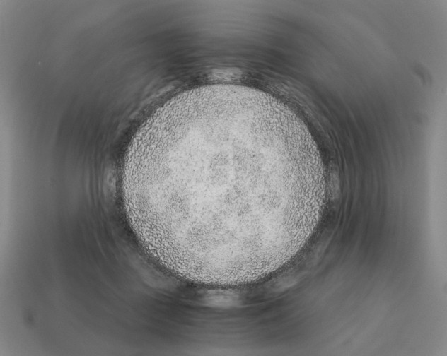 X0000111930363200909071243